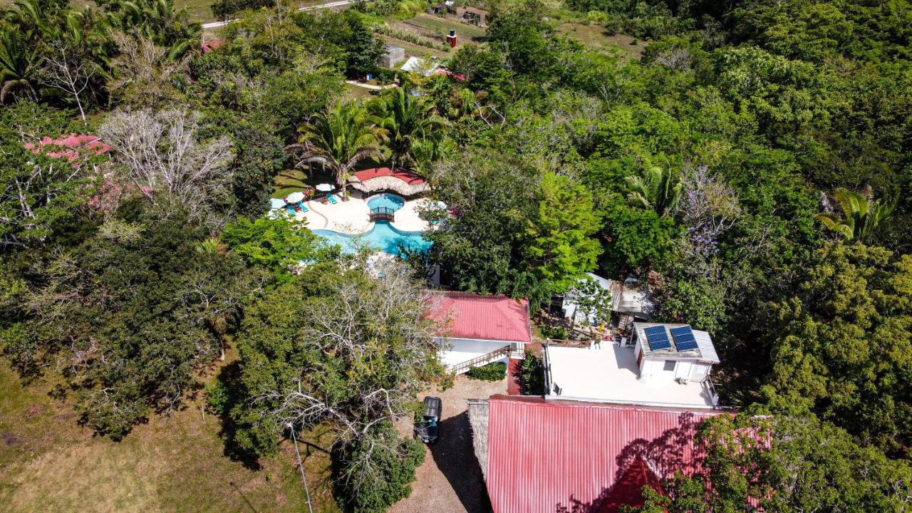 Kikiwitz Resort بلموبان المظهر الخارجي الصورة