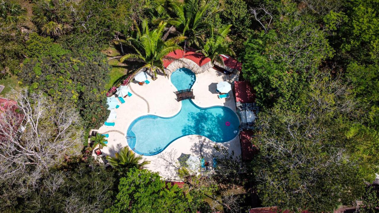 Kikiwitz Resort بلموبان المظهر الخارجي الصورة